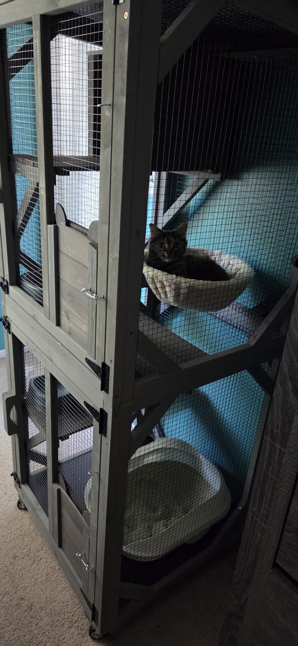 Aivituvin Outdoor Catio Cat Enclosures on Wheels Cat House 70.9