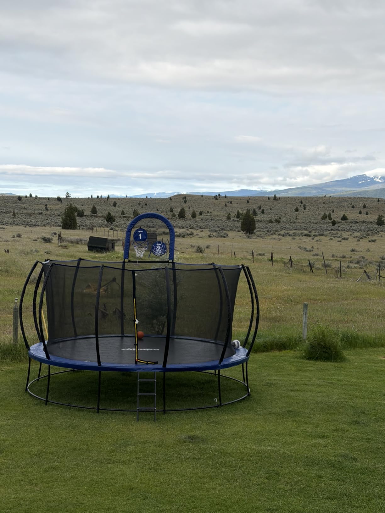 Zupapa 1800LBS Capacity No-Gap Design 16 15 14 12FT Trampoline with Safety Enclosure Net and Non-Slip Ladder 10-Year Quality Assurance Perfect for Kids Family Outdoor Backyard Fun customer photo 2