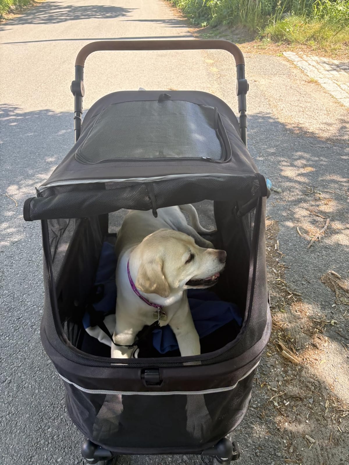 Zoosky Pet Stroller for Large Dogs up to 110lbs, Large Pet Stroller | Multiple Pets(31
