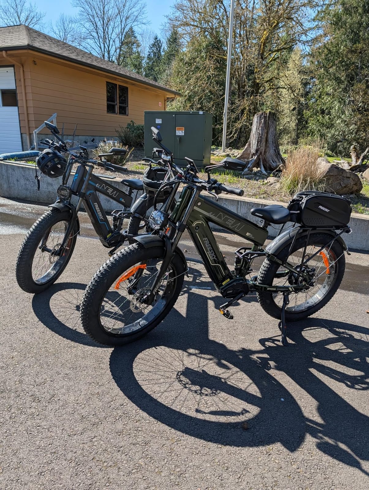 FREESKY 2026 Alaska Pro Dual Battery 48V 45AH Electric Bike, 200 Miles | LG Cells, 4500W, 40MPH, 26