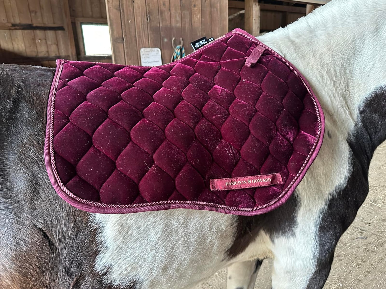 Harrison Howard Close Contact Horse Saddle Pad for Jumping, w/Velvet Hue customer photo 2