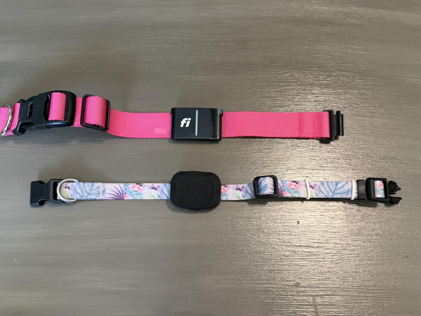Fi Series 3+ GPS Dog Collar Medium Pink, Tracker with 6-Month Plan customer photo 1