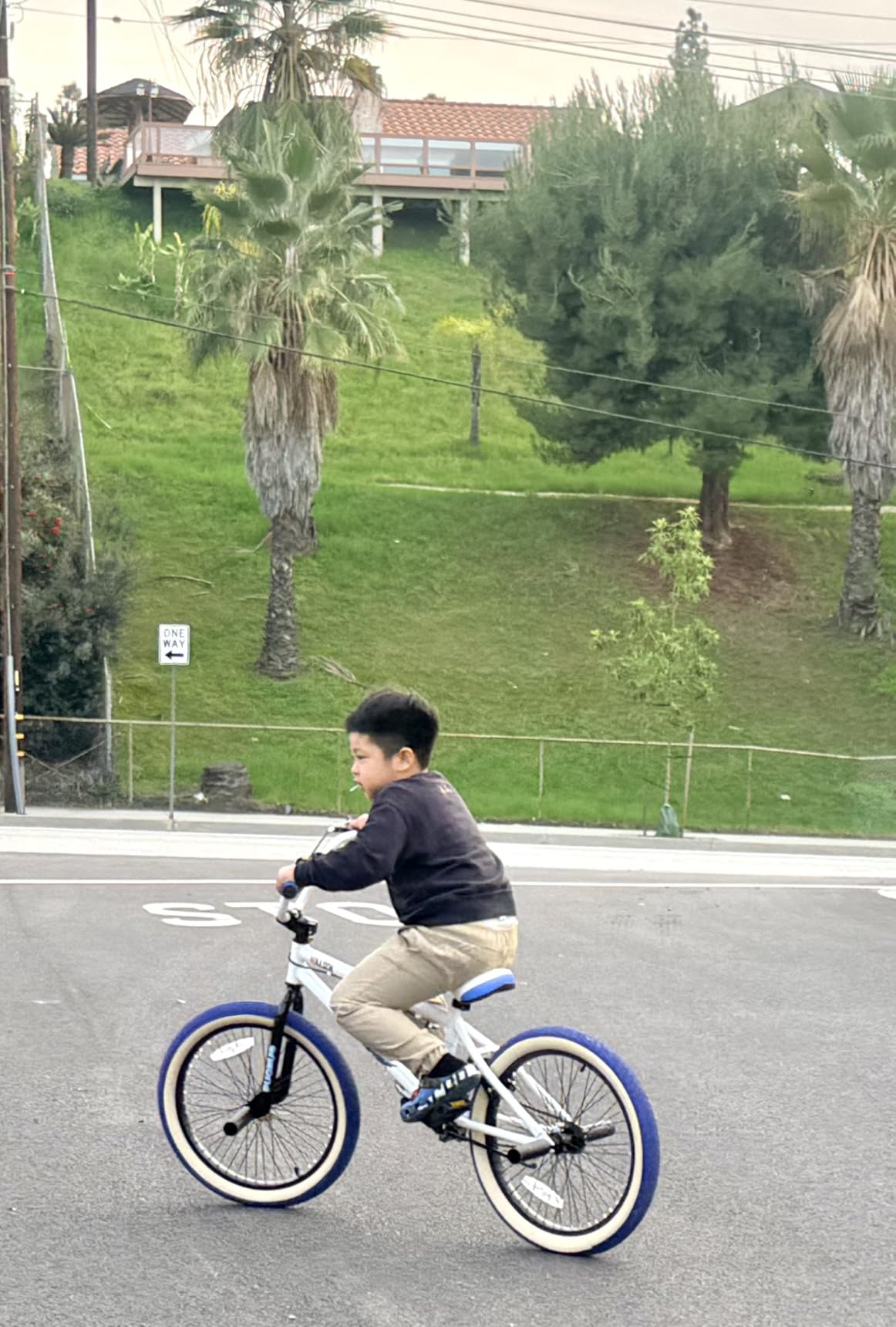 vollsch 18 20 Inch Kids Freestyle BMX Bikes for 6-15 Years Old Boys Girls | High Tensile Steel Frame, Optional Pegs, U-brakes, Beginner Level Rider, 85% Pre-Assembled customer photo 1