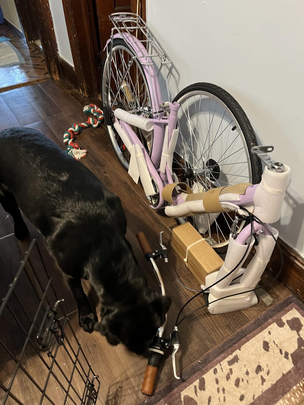 Foldable Beach Cruiser Bike, 26