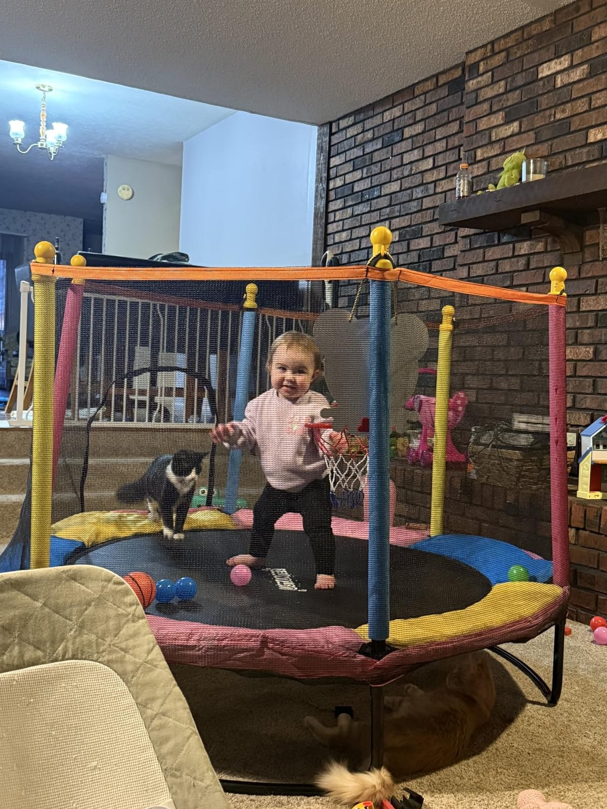 Mini Toddler Trampoline Ages 2-10, Small Indoor Kids Trampoline | Safety Enclosure Net, Basketball Hoop & Ocean Balls, Indoor Outdoor Activity Toys, Birthday Gift for Boys & Girls, Pink & Blue customer photo 2