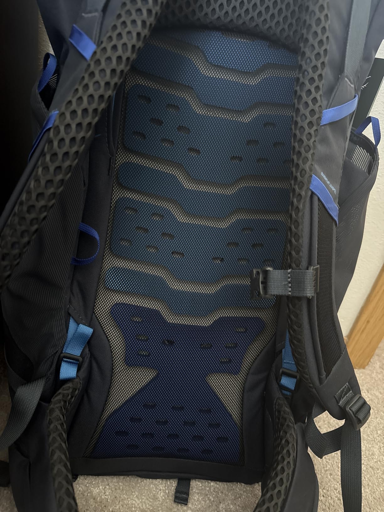 Osprey Kestrel LT 65L Men's Backpacking Backpack, Blue OS customer photo 2