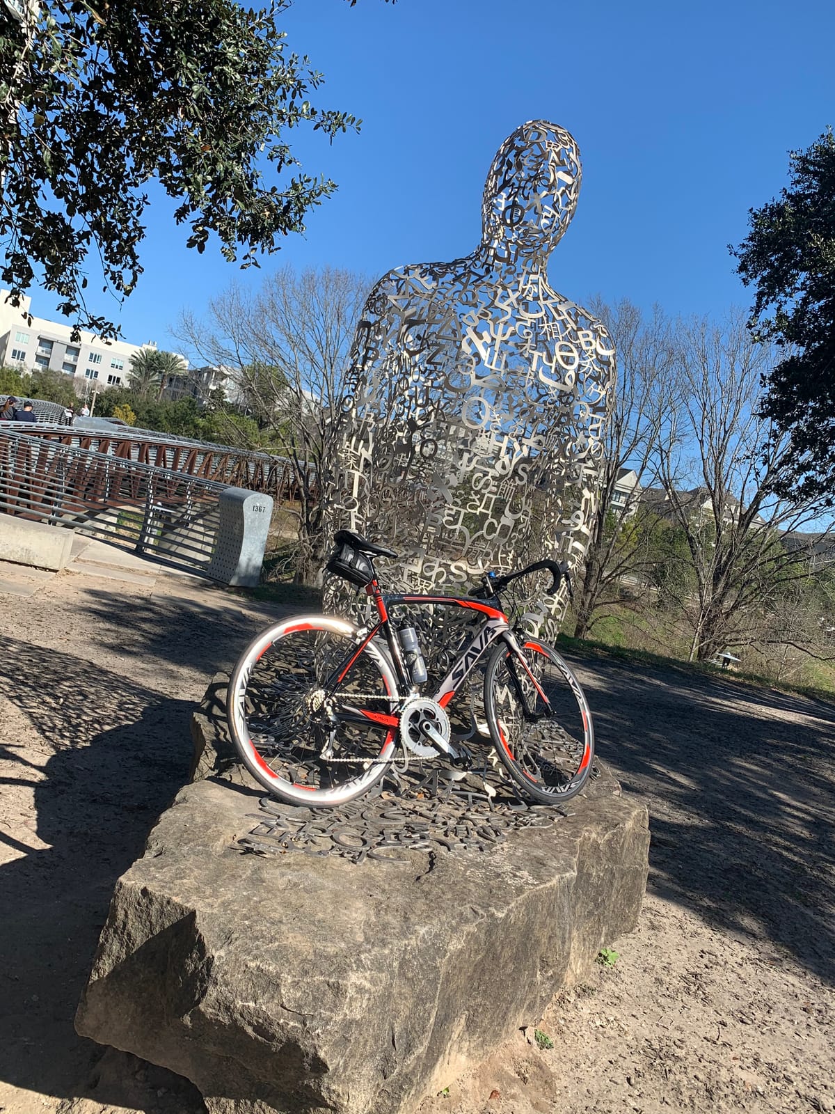 SAVADECK A7L 2026 Carbon Road Bike - T800 Carbon Fiber Frame, with Shimano 105 R7100 24-Speed Groupset, Hydraulic Disc Brake, 700C Racing Bicycle for Men & Women customer photo 1