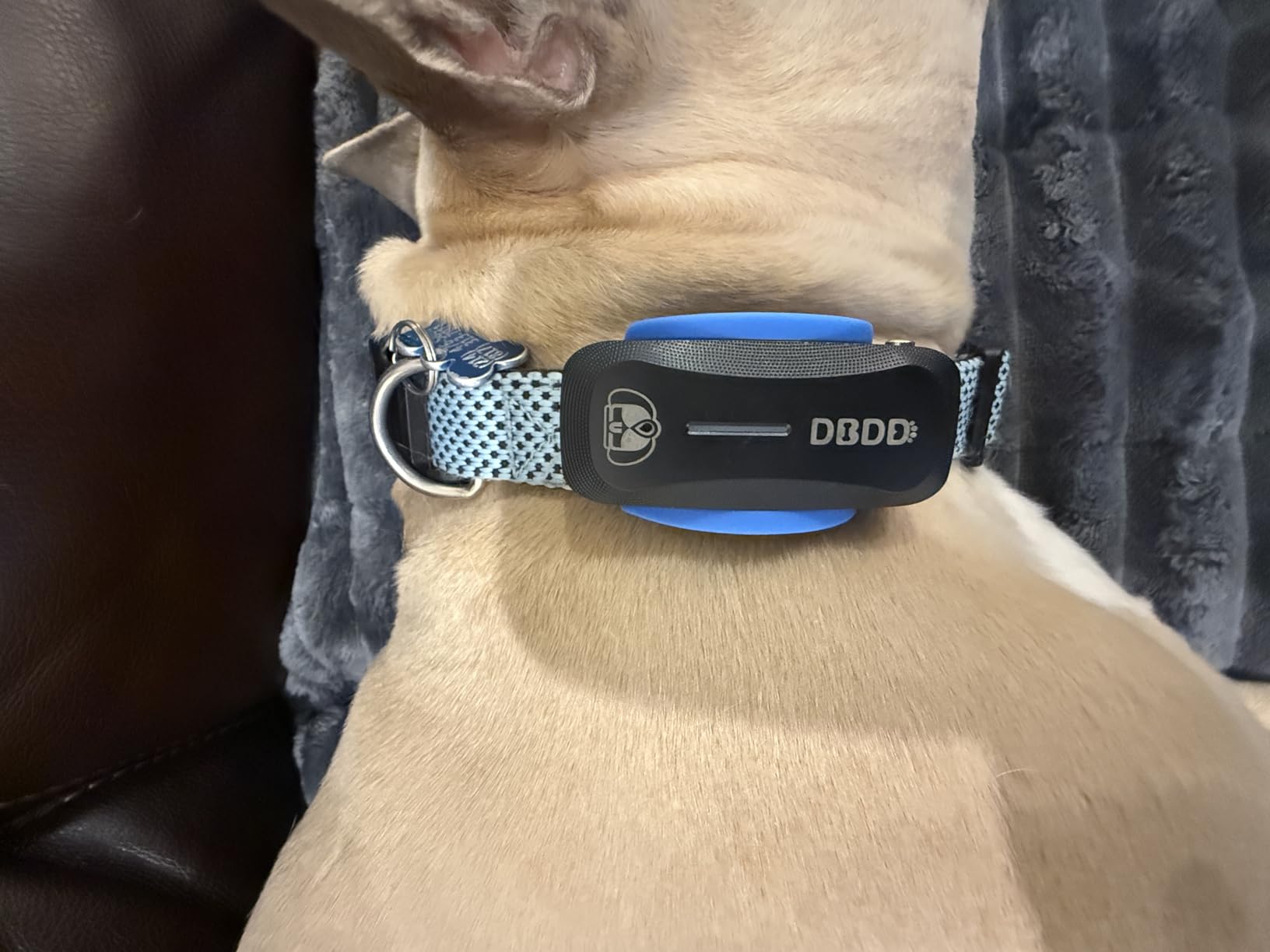 DBDD GPS Dog Tracker with Subscription, Virtual Fence & Health Monitor, IP67, BK | APP-based subscription with 3-day free trial, Real-time escape alerts & AI health insights, iOS/Android compatible. customer photo 2