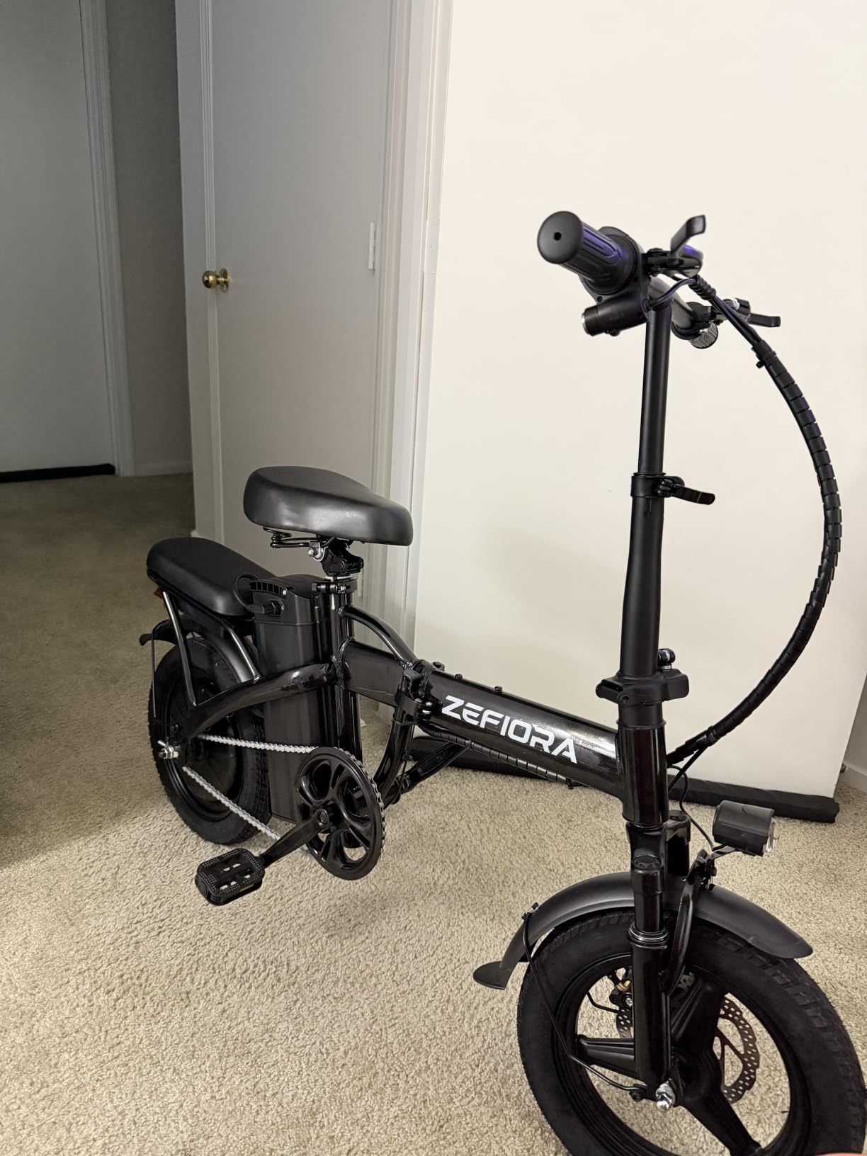 Folding Electric Bike for Adults, 14 Inch Mini Ebike for Commuting | Electric Bicycle, Commuter E-bike, 480Wh Removable Battery, 20MPH 30 Miles PAS Range, 800W Peak Motor customer photo 1