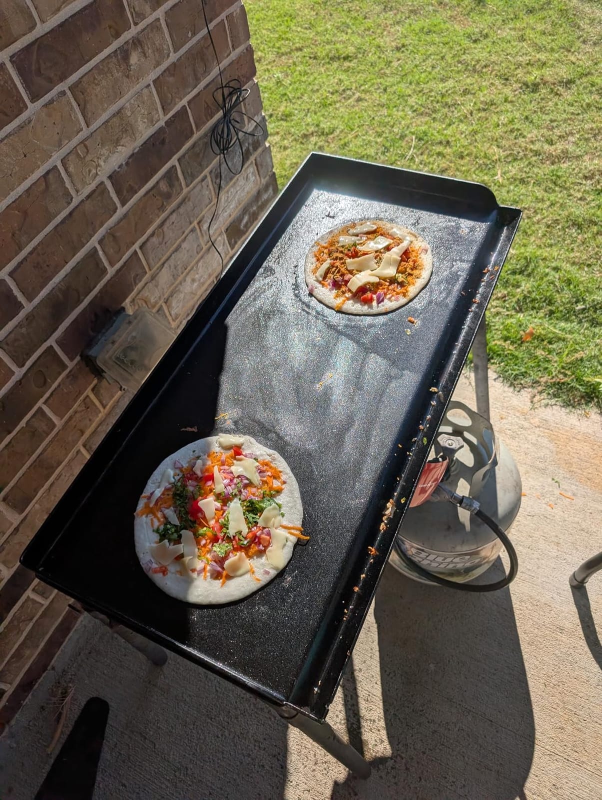 Camp Chef Professional Fry Griddle, 14