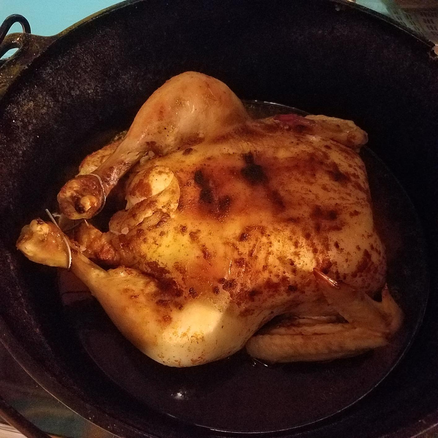 Camp Chef Cast Iron Dutch Oven, Pre-Seasoned, 9.33 qt customer photo 1