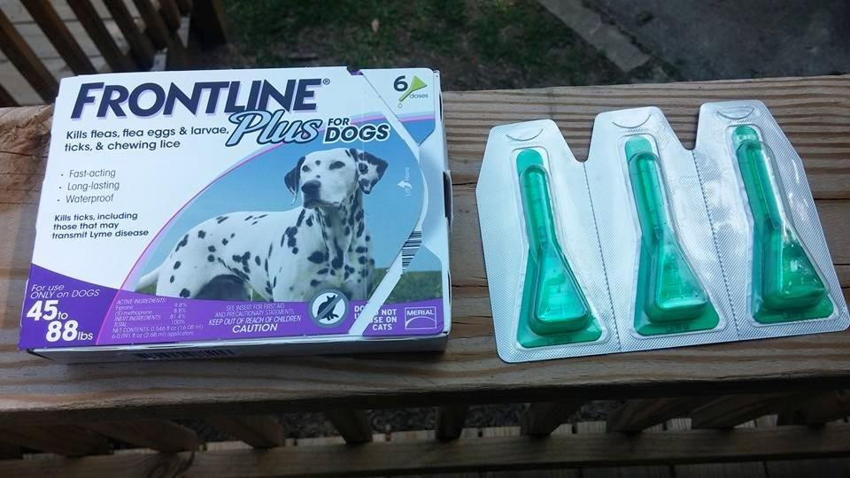 FRONTLINE Plus Flea & Tick Spot Treatment for Large Breed Dogs 45-88 lbs. (Purple) Count of 3 customer photo 2