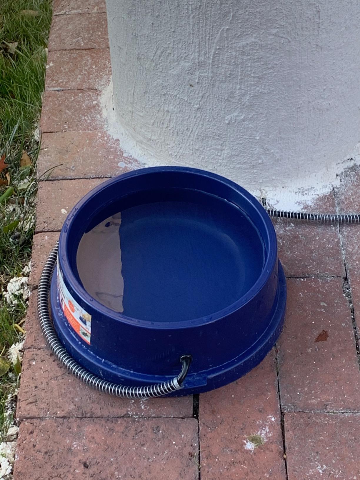 K&H Pet Products Thermal-Bowl Outdoor Heated Cat & Dog Water Bowl Stainless Steel 102 Ounces customer photo 2