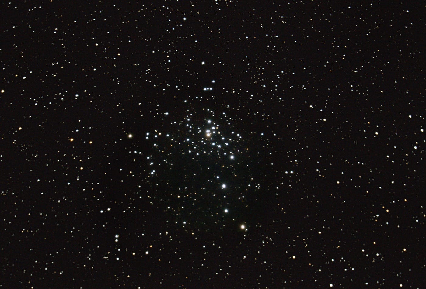 Celestron NexStar 8SE Computerized Telescope – Schmidt-Cassegrain customer photo 1