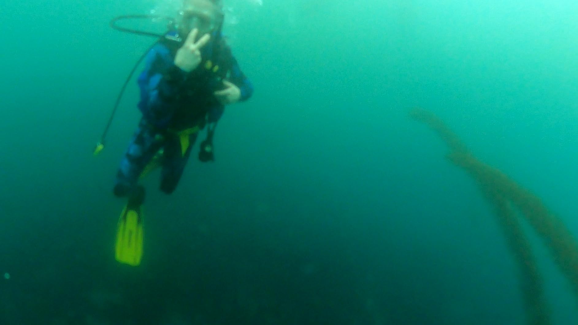 Cressi Lightweight Well-Balanced Open Heel Scuba Diving Fins - Pro Light: Made in Italy customer photo 2