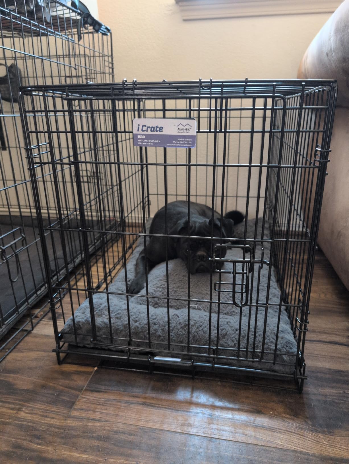 Midwest 30-Inch Single Door iCrate, for Medium Breeds, 21-40 lbs customer photo 2