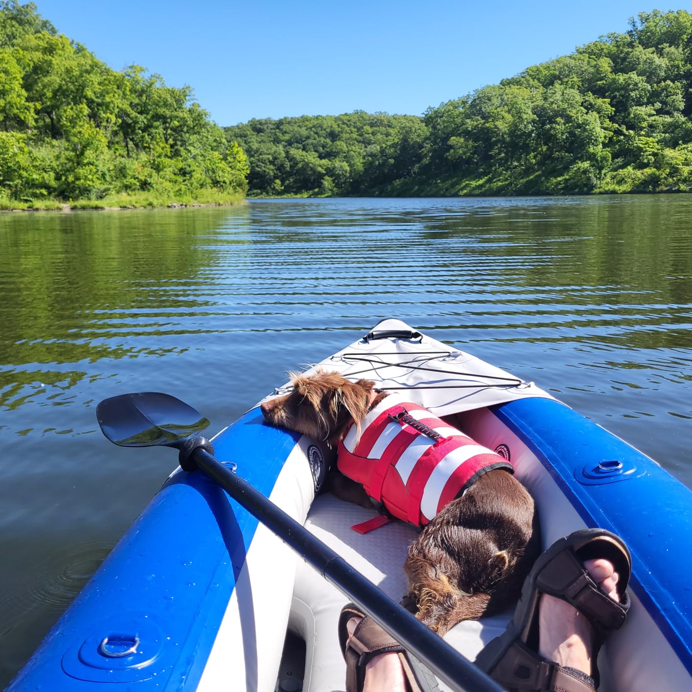 Sea Eagle 420X Explorer Inflatable Kayak- Fishing, Touring, Camping, Exploring &White Watering-Self Bailing, Removable Skeg, Drop Stitch Floor customer photo 2