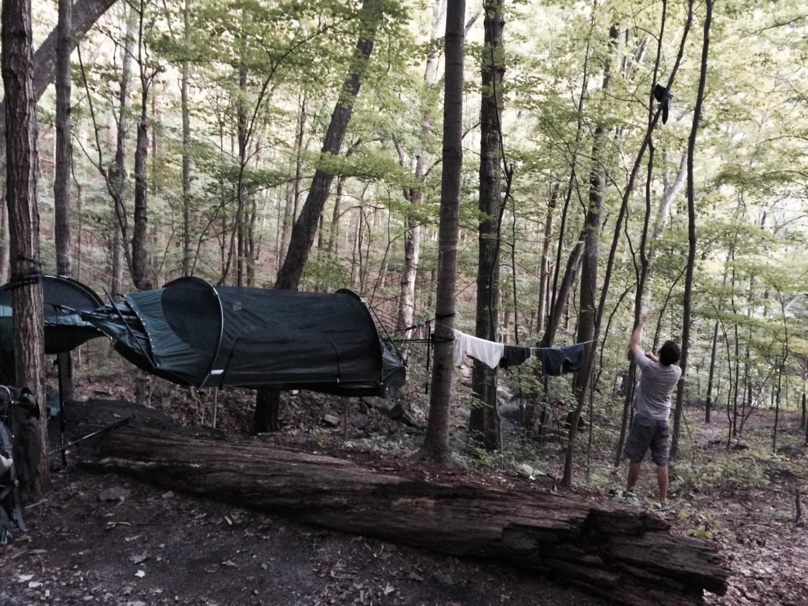 Lawson Hammock Blue Ridge Camping Hammock and Tent, customer photo 1