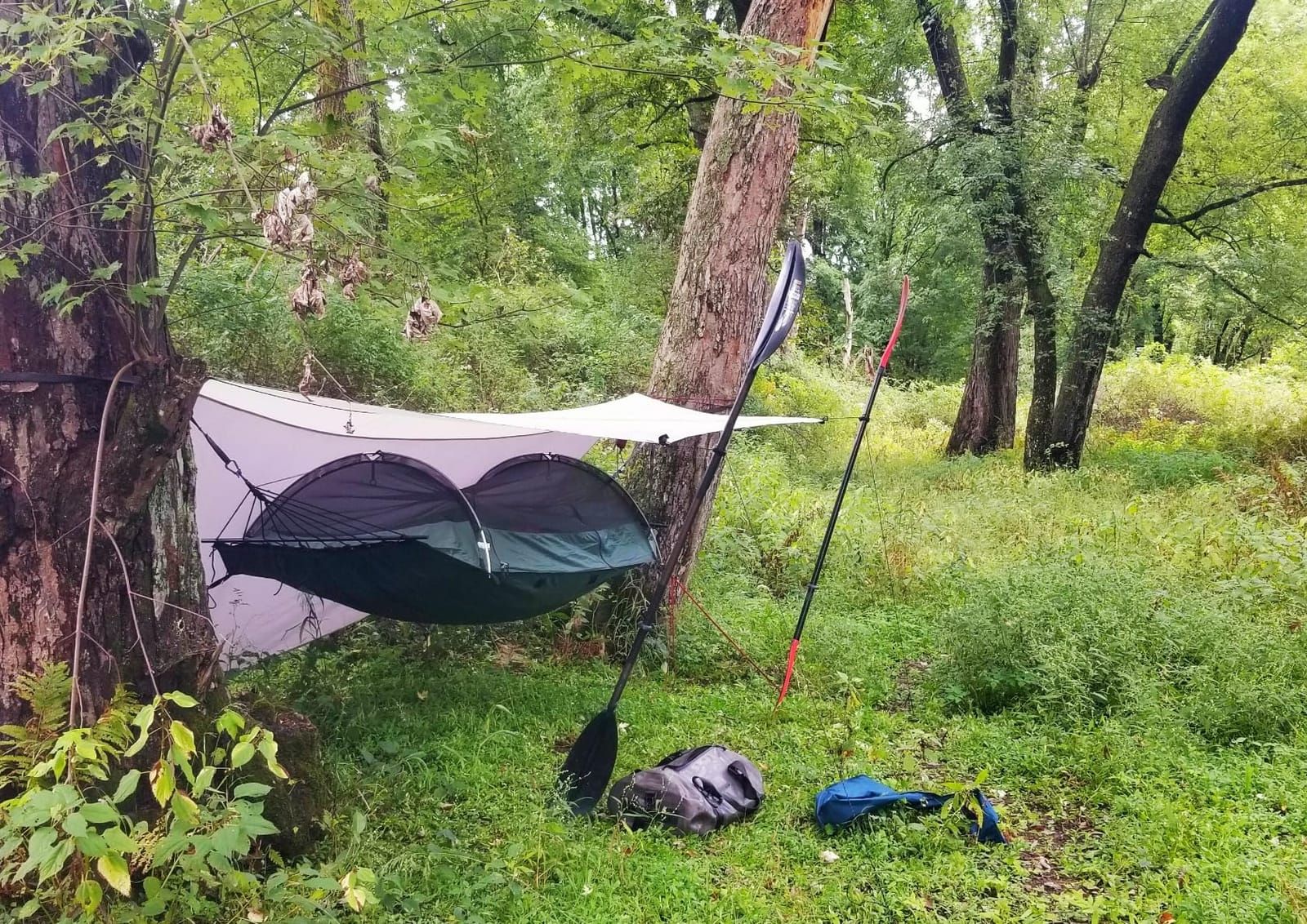 Lawson Hammock Blue Ridge Camping Hammock and Tent, customer photo 2