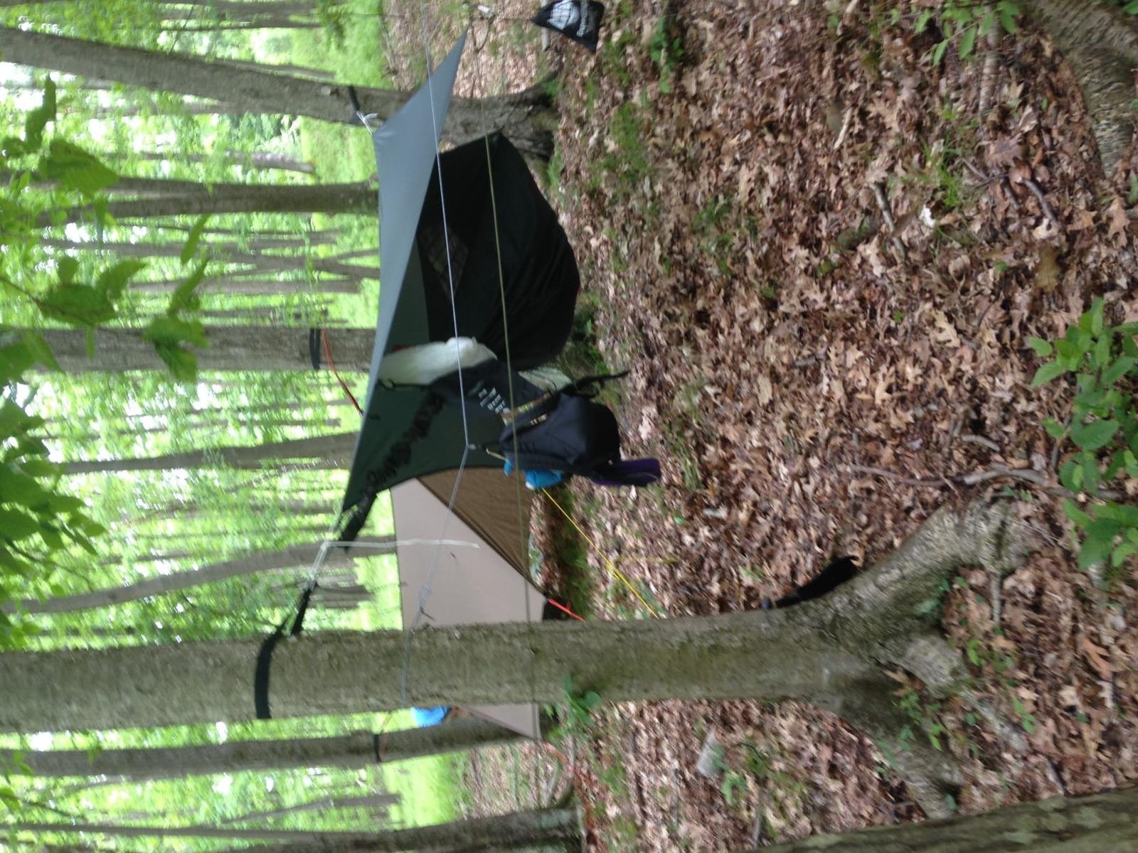 Hennessy Hammock - Expedition Classic customer photo 1