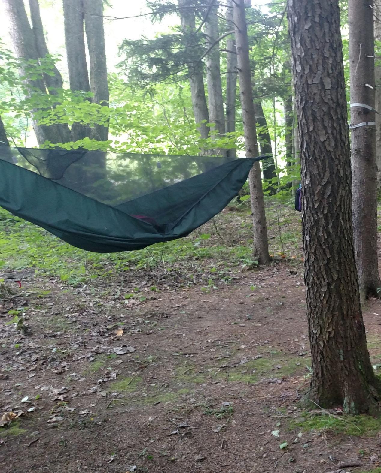 Hennessy Hammock - Expedition Classic customer photo 2