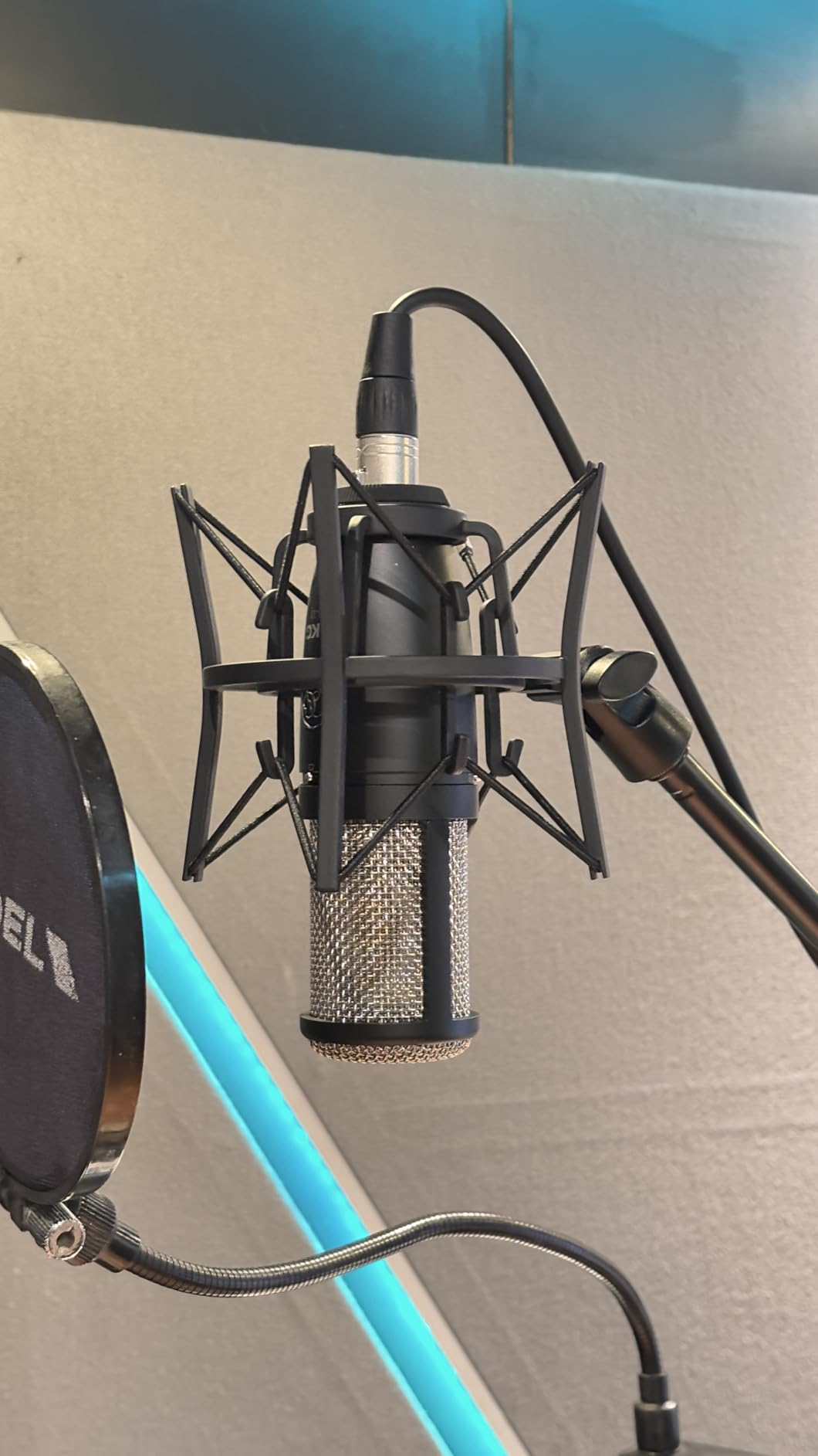 AKG Pro Audio P420 Multi-Pattern Condenser Microphone with Shock Mount and Case. Great for ensemble recording, grand piano, woodwind, brass instruments, drums and percussion. Black and Gold. customer photo 1