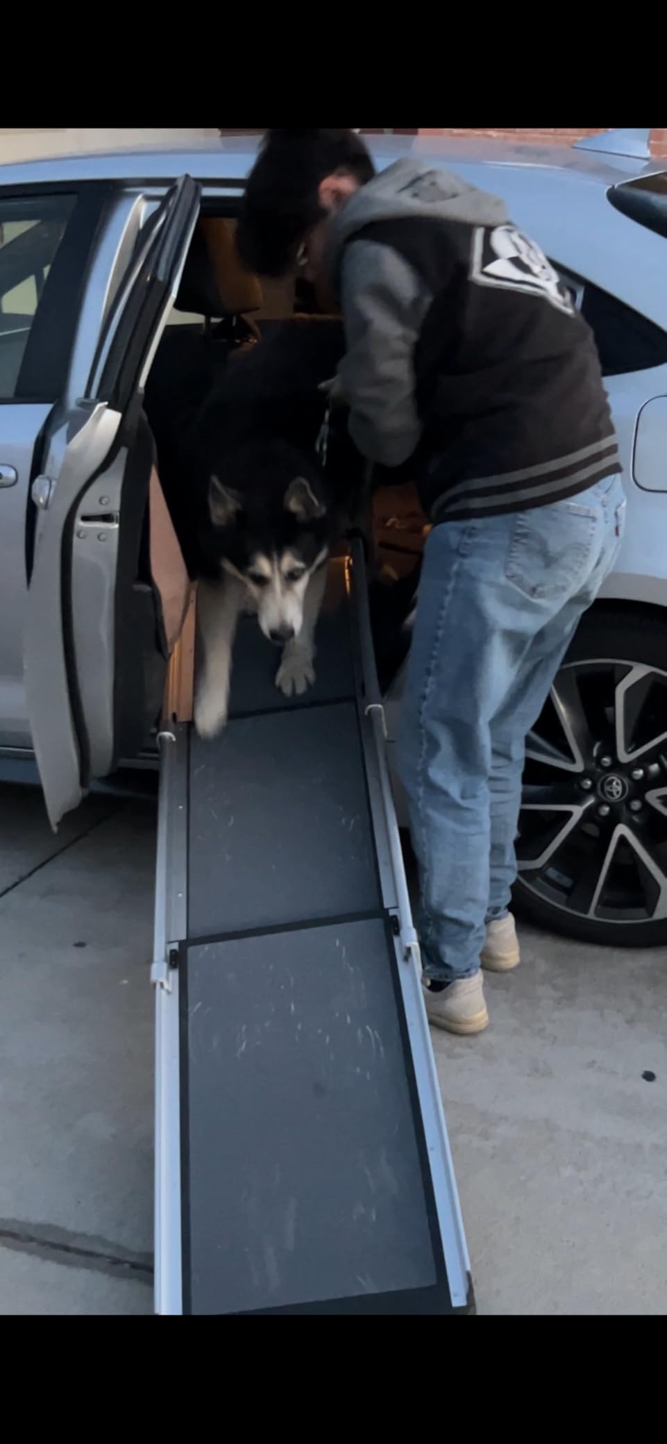 PetSafe Happy Ride Extra Long Telescoping Dog Ramp, Portable Pet Ramp for Cars, Trucks & SUVs with Adjustable Sizing customer photo 1