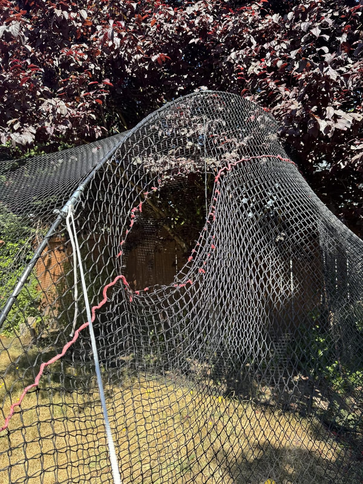 HEATER Sports PowerAlley Baseball & Softball Batting Cage Net & Frame - Heavy-Duty Net with Built-in Pitching Machine Harness for Safety (Machine Not Included) | Ideal for Batting Practice & Training customer photo 1