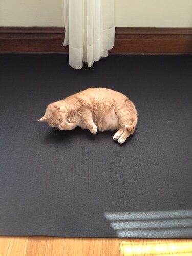 Rubber Cal Treadmill Mat customer photo 1