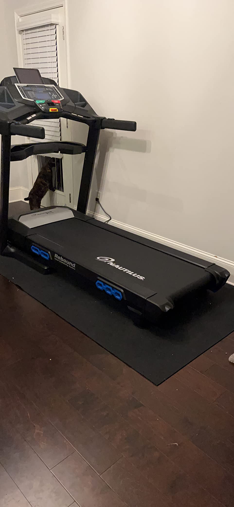 Rubber Cal Treadmill Mat customer photo 2