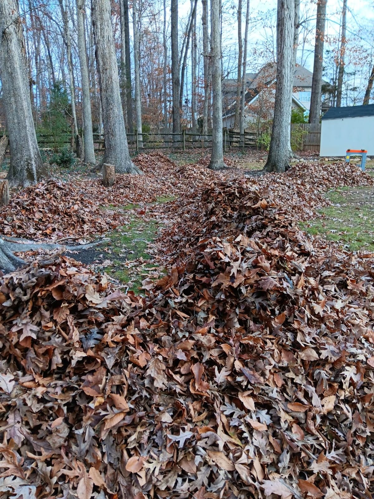 WORX 13 Amp Electric Leaf Mulcher for Yard Leaf & Waste Shredding, WG430 customer photo 1