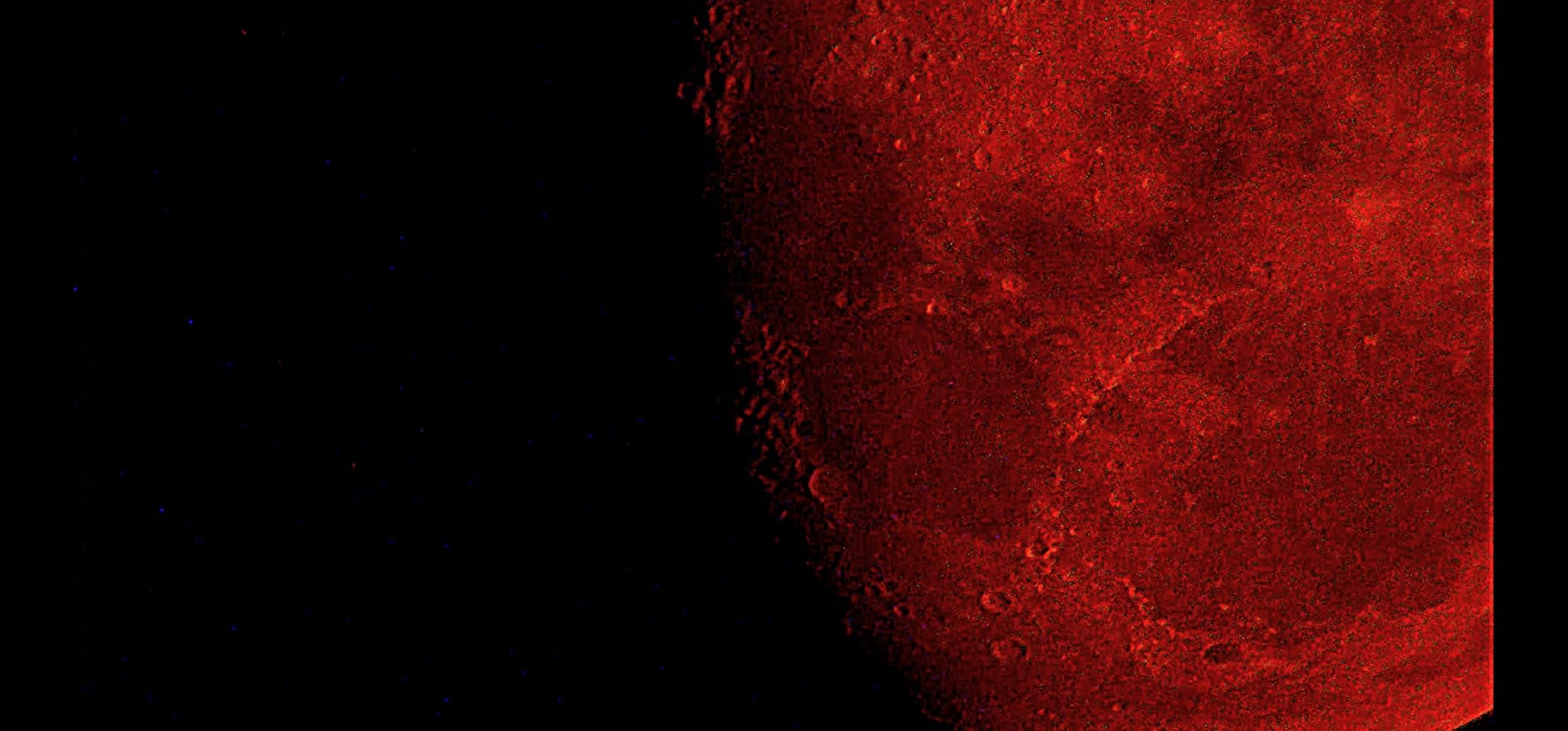 Celestron 114LCM Computerized Reflector Telescope for Beginners customer photo 2