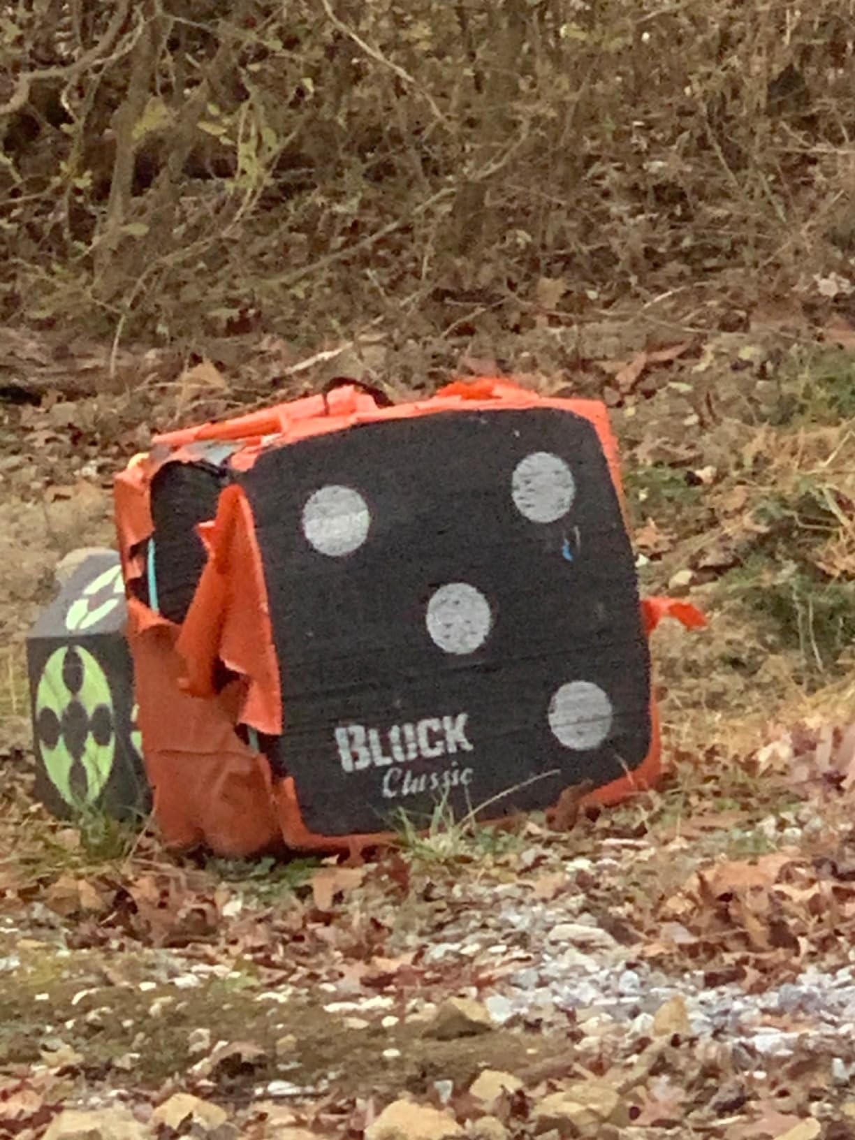 BLOCK Classic Layered Foam Archery Target, 18” x 18” x 13.5”, 2-Sided Shooting, Unique Open Layer Design Stops Field Points and Broadheads with Friction Not Force, Easy Arrow Removal, Top Carry Handle customer photo 1