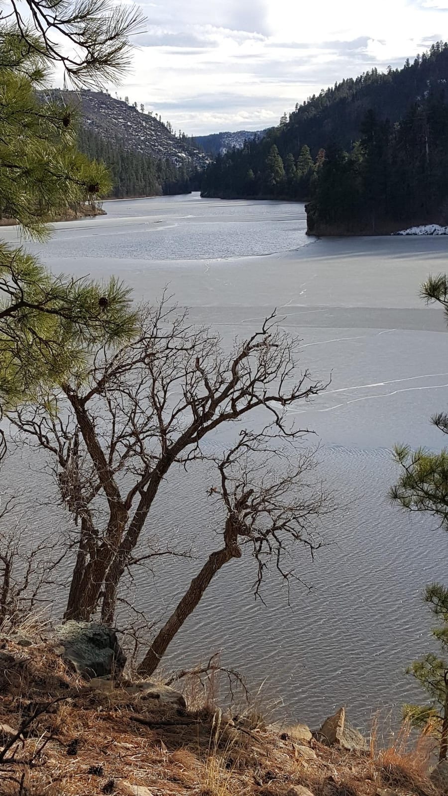 INTEX Transom Electric Trolling Motor for Inflatable Boat, 40lb Thrust customer photo 1