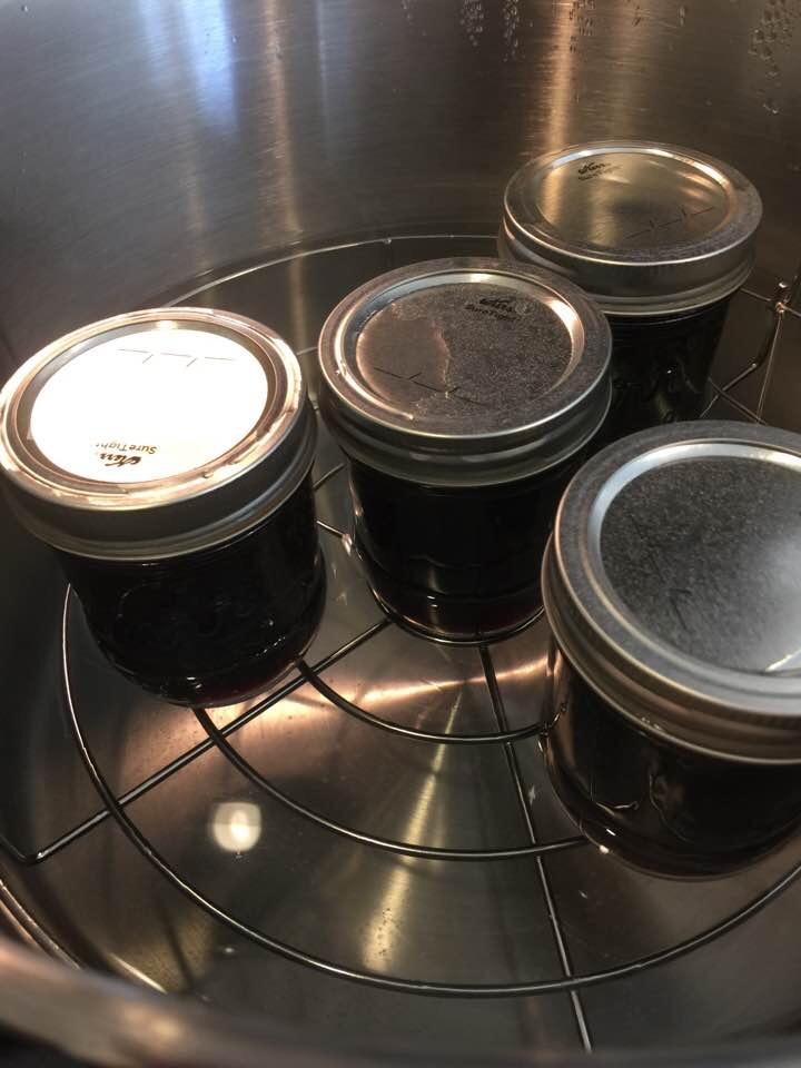 Harvest Stainless Steel 20 Qt Canning Pot with Rack | Water Bath or Steam Canning | Works on All Stovetops Including Induction, Glass, Gas (Stainless Steel Canner + Tools) (Stainless Steel Canner) customer photo 1