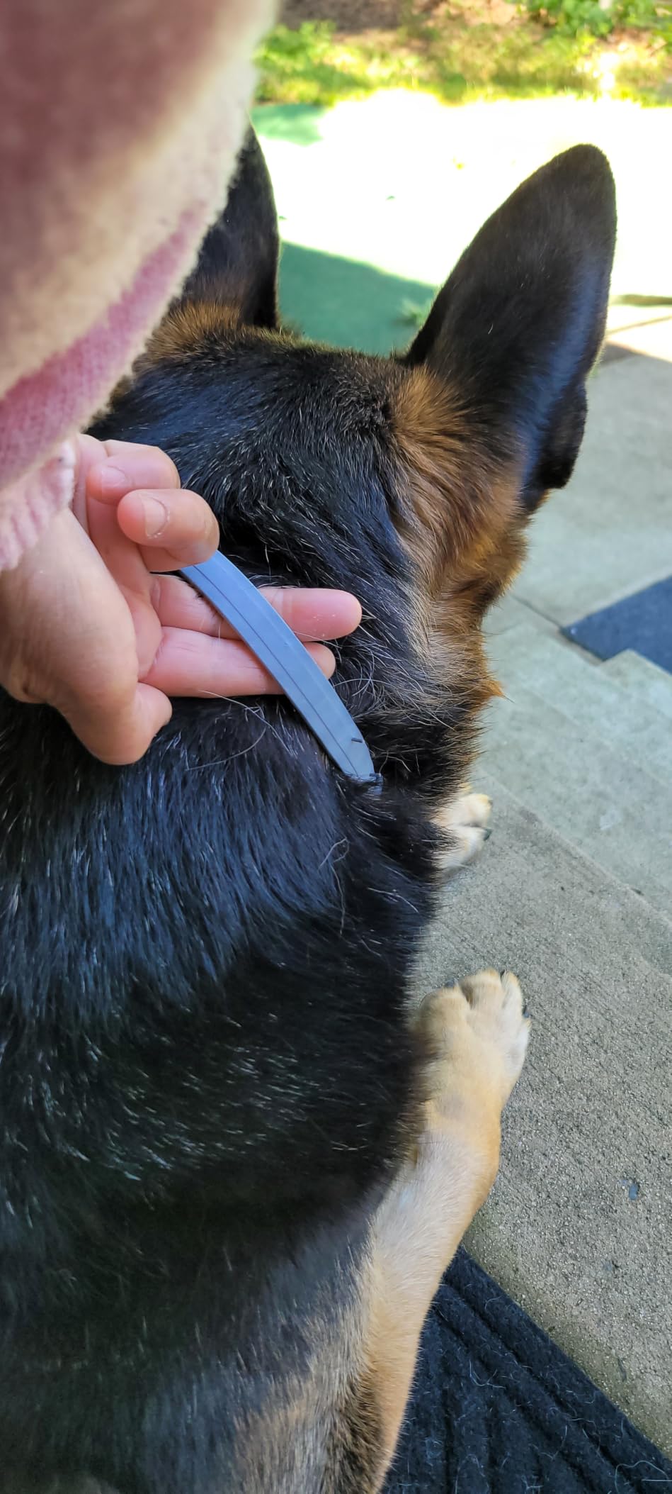 Seresto Flea & Tick Collar For Dogs Over 18 lbs., Treatment & Prevention, Vet-Recommend, 8 Month Protection customer photo 1