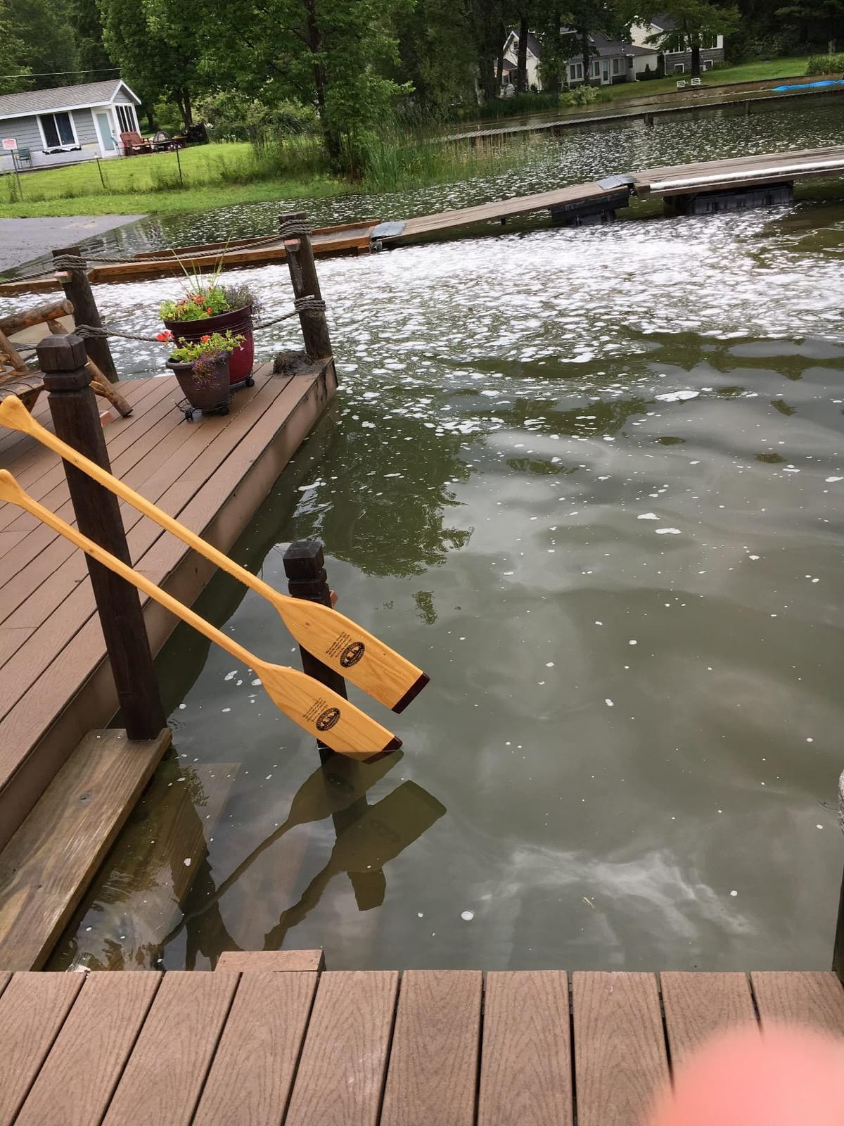 CROOKED CREEK 4-foot Wooden Boat Paddle - Features Multi-Ply Laminated Construction for Added Strength - Lightweight, Waterproof Finish (50431) customer photo 1