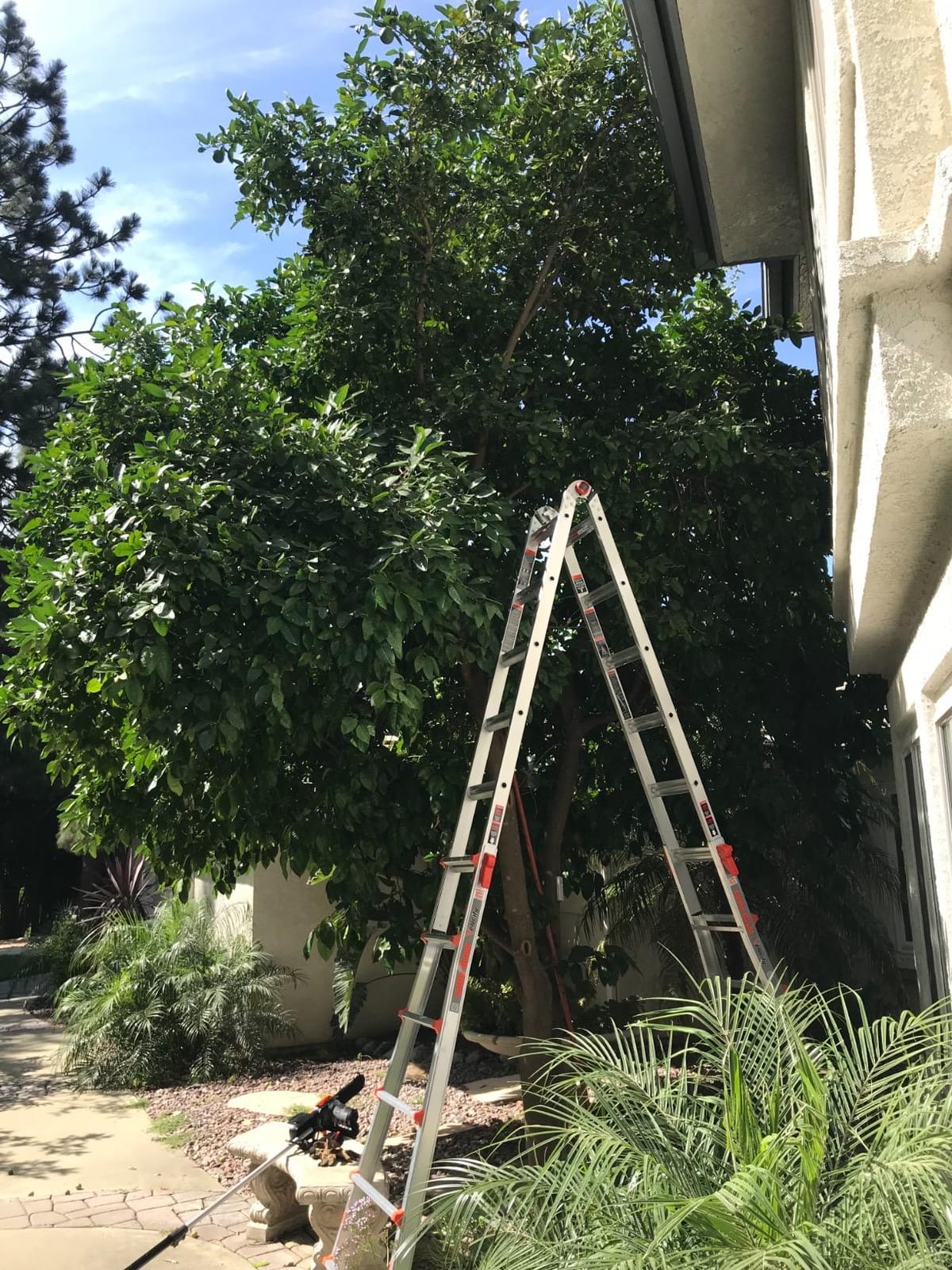 Little Giant Velocity, Aluminum Ladder, 18 ft Reach, 15417-001 customer photo 1