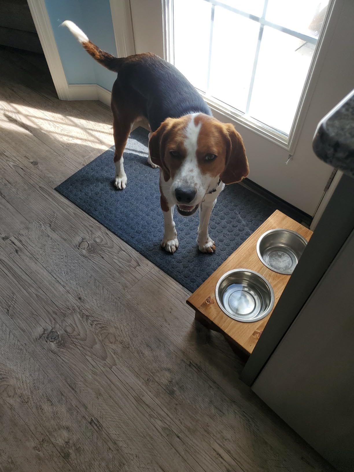 PetSafe Happy Ride Metal Dog Barrier customer photo 1