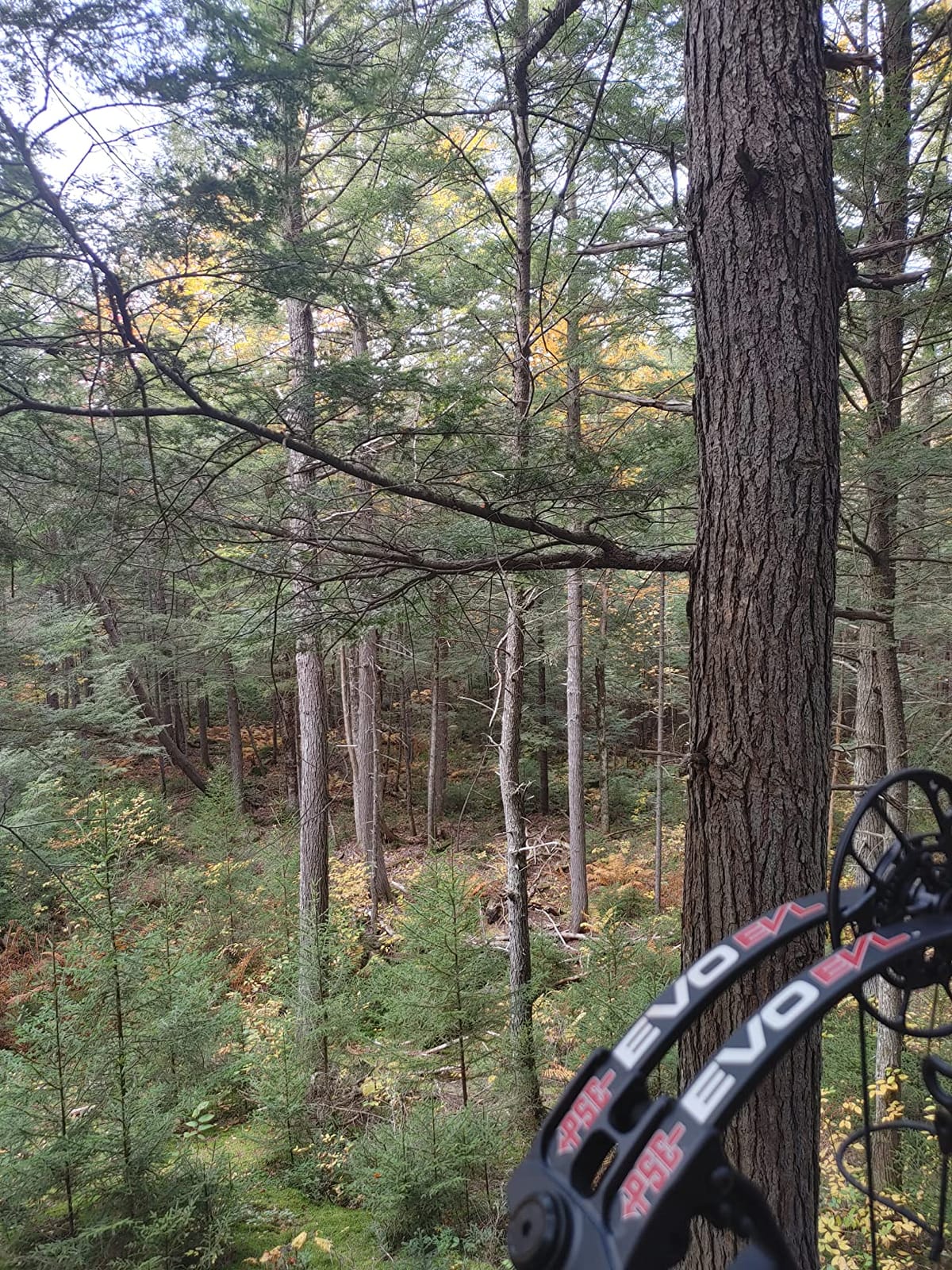 Summit Treestands Titan SD Climbing Treestand customer photo 1