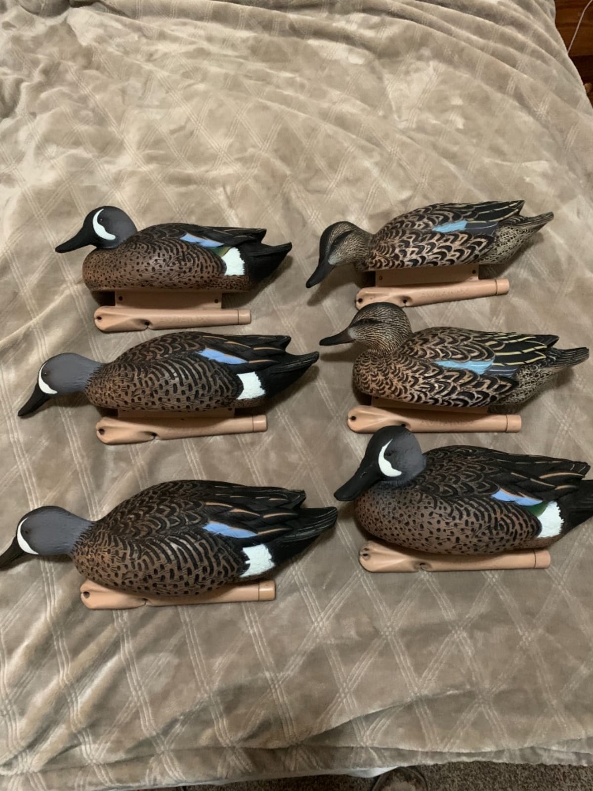 Avian-X Topflight Blue-Winged Teal Duck, Realistic Floating Outdoor Duck Decoys customer photo 2