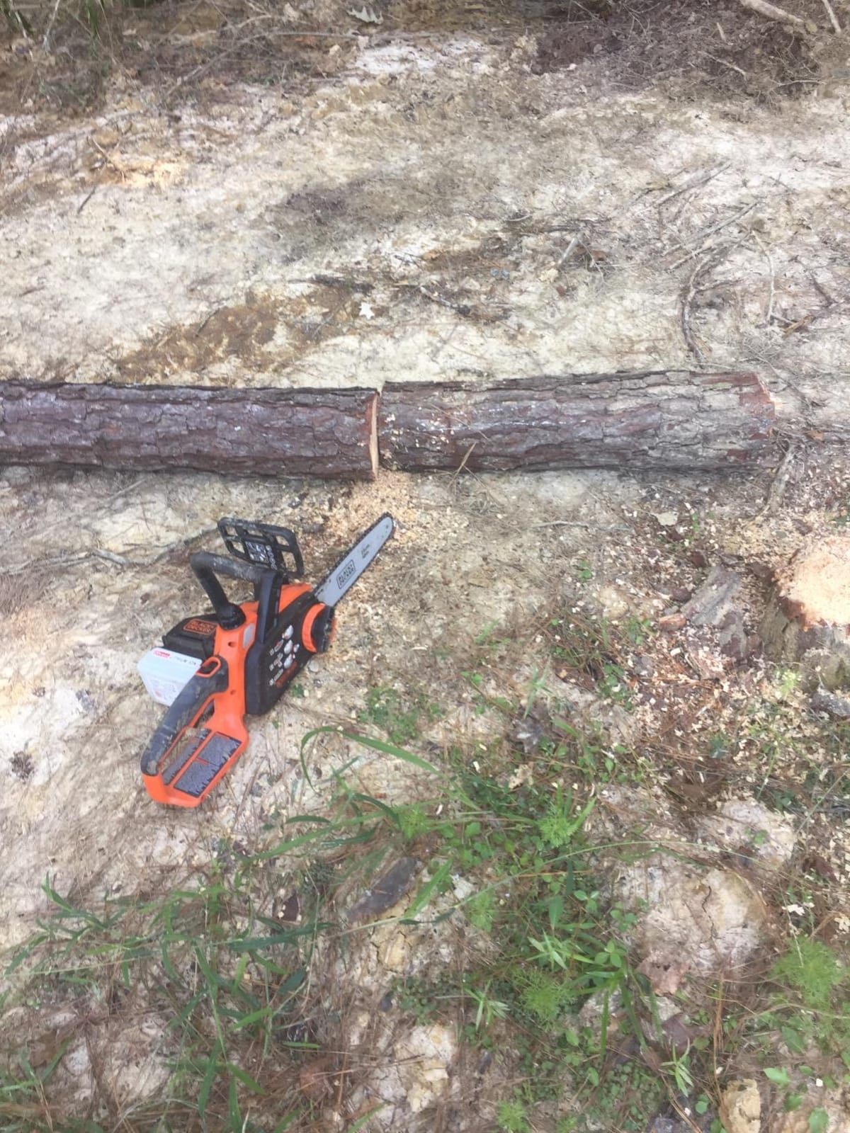 BLACK+DECKER 20V MAX Electric Chainsaw, 10 inch Cordless Chainsaw with Battery and Charger Included, Automatic Oiler, Low Kickback Power Chain Saws (LCS1020) customer photo 2