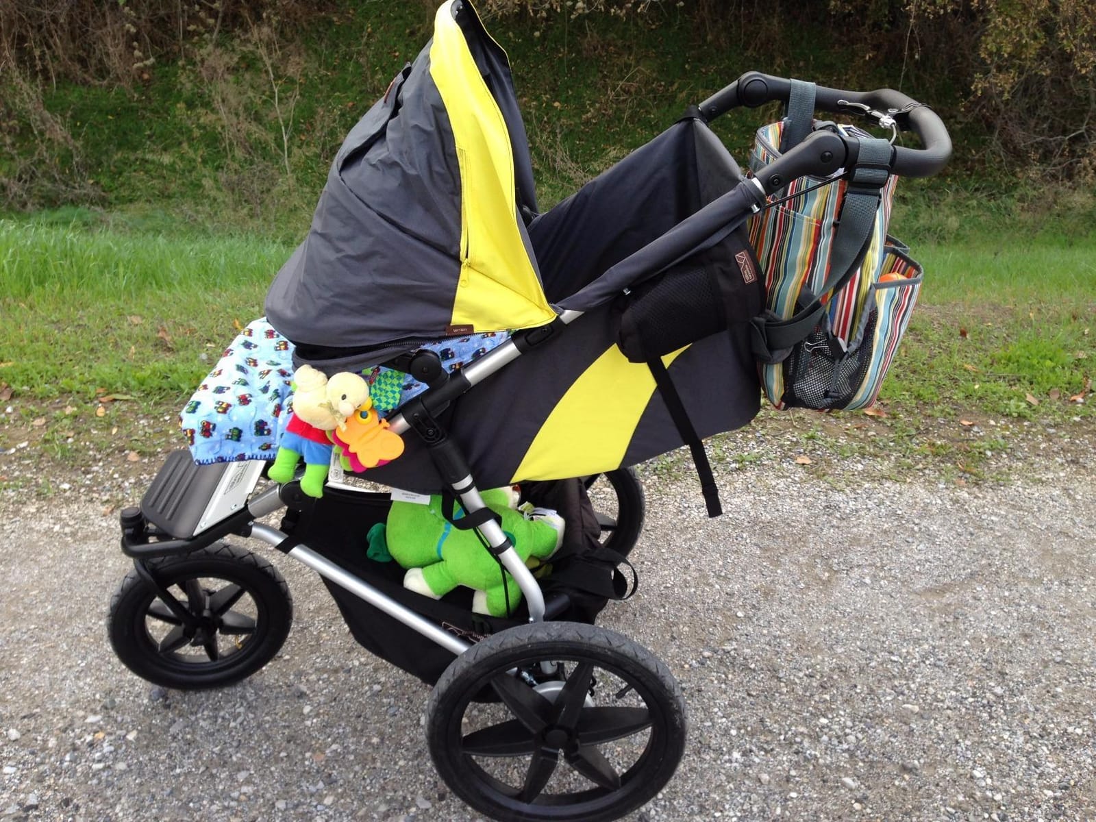 Mountain Buggy Terrain Premium Jogging Stroller, Solus (TER-V3-49), One Size customer photo 2