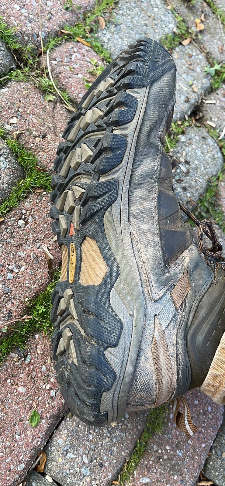 KEEN Men's Targhee III Mid Height Waterproof Hiking Boot customer photo 2