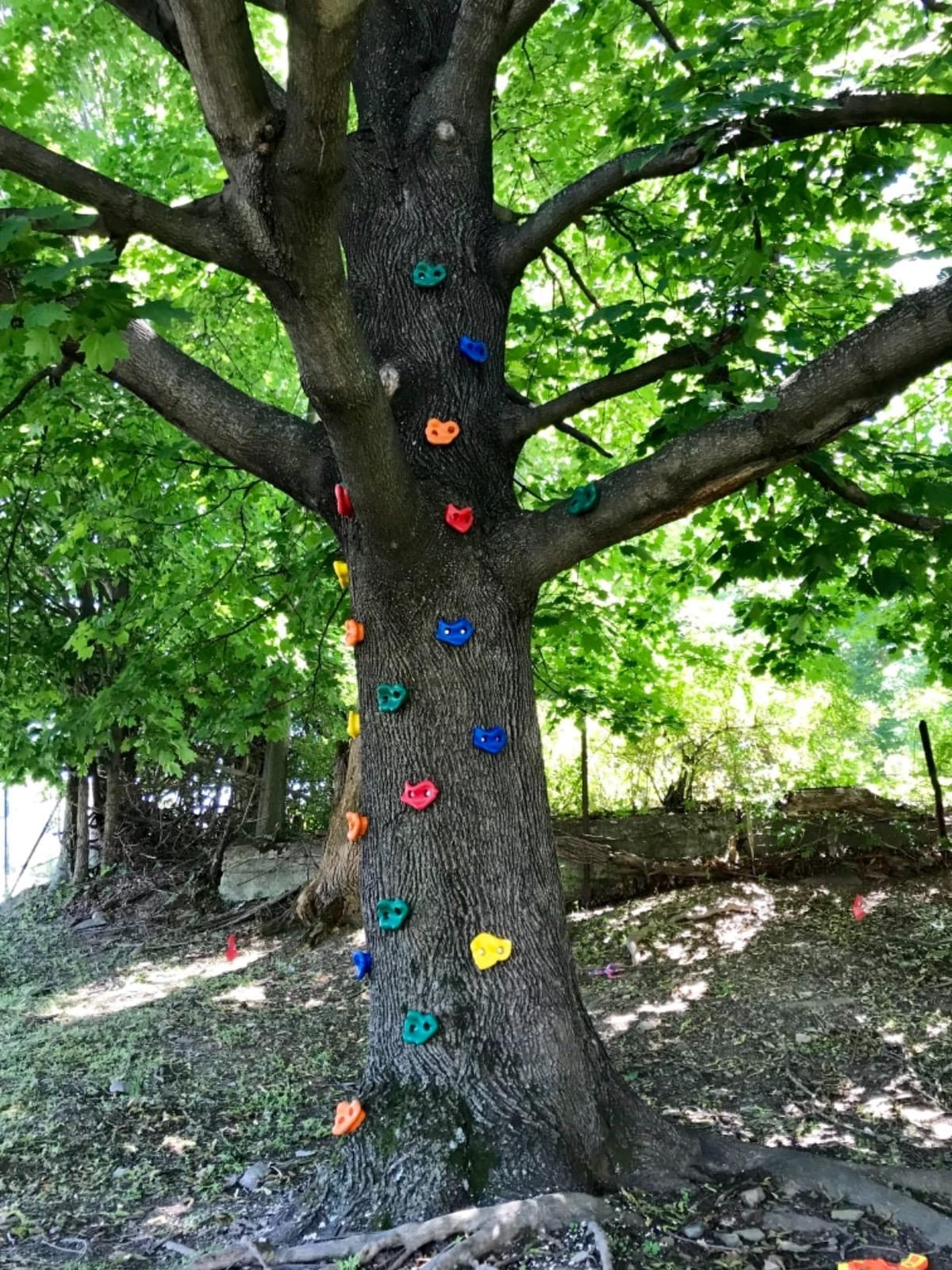 22 Assorted Deluxe Rock Climbing Holds for Kids - Outdoor Climbing Stones Kit with 44 Swing Safe Fasteners + Drill Bit Easy to Install on Lumber from 3/4