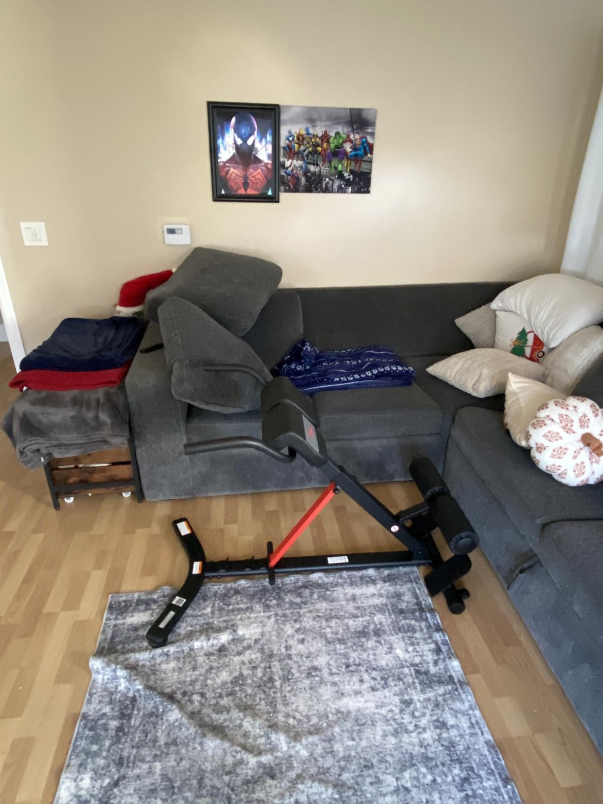 Sunny Health & Fitness Multi-Function Roman Chair customer photo 1