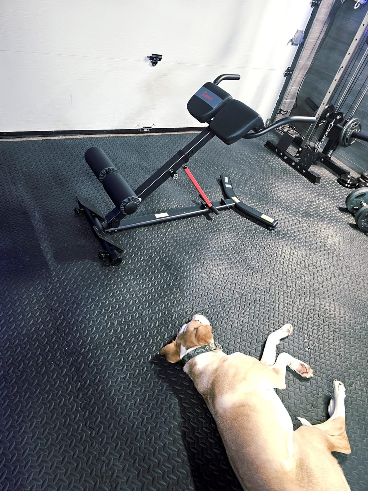 Sunny Health & Fitness Multi-Function Roman Chair customer photo 2