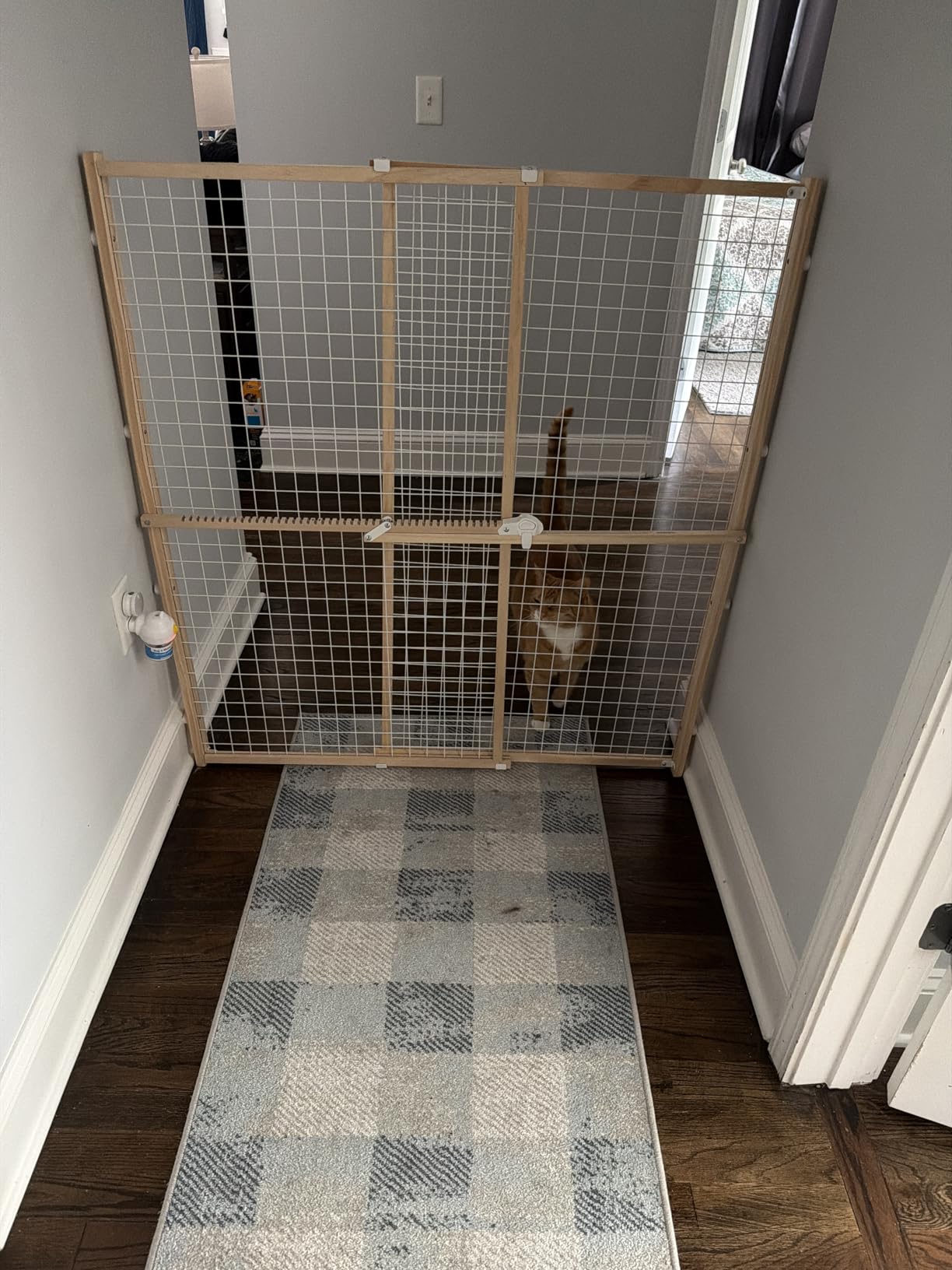 MidWest Homes for Pets Wire Mesh Pet Safety Gate, Dog Gate Expands From 29 - 50 Inches Wide, 44 Inches Tall, Wood, Powder Coated Wire customer photo 1