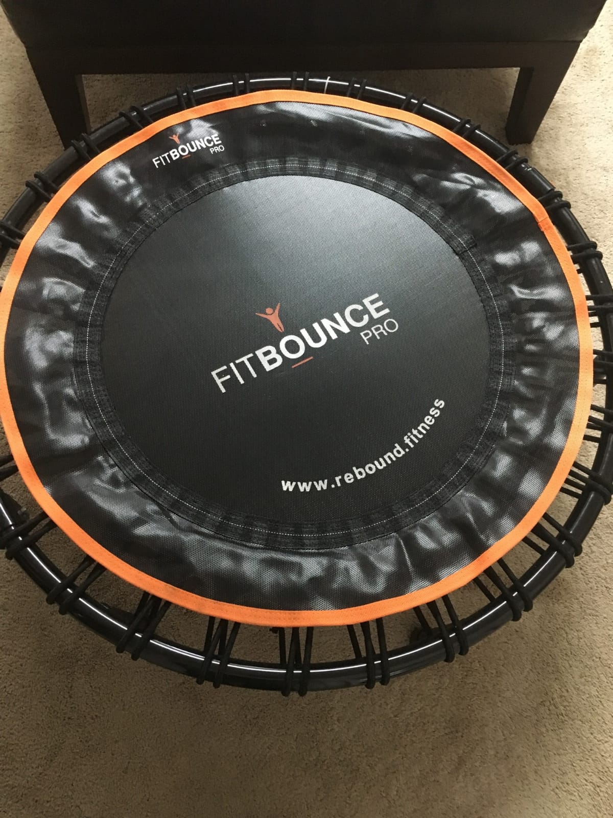 MXL FIT Bounce PRO Bungee Rebounder - Premium Indoor Mini Trampoline for Adults, Silent Low-Impact Bounce, Half-Folding with Foldable Steel Legs & Carry Bag - 40 in, 400lb customer photo 1