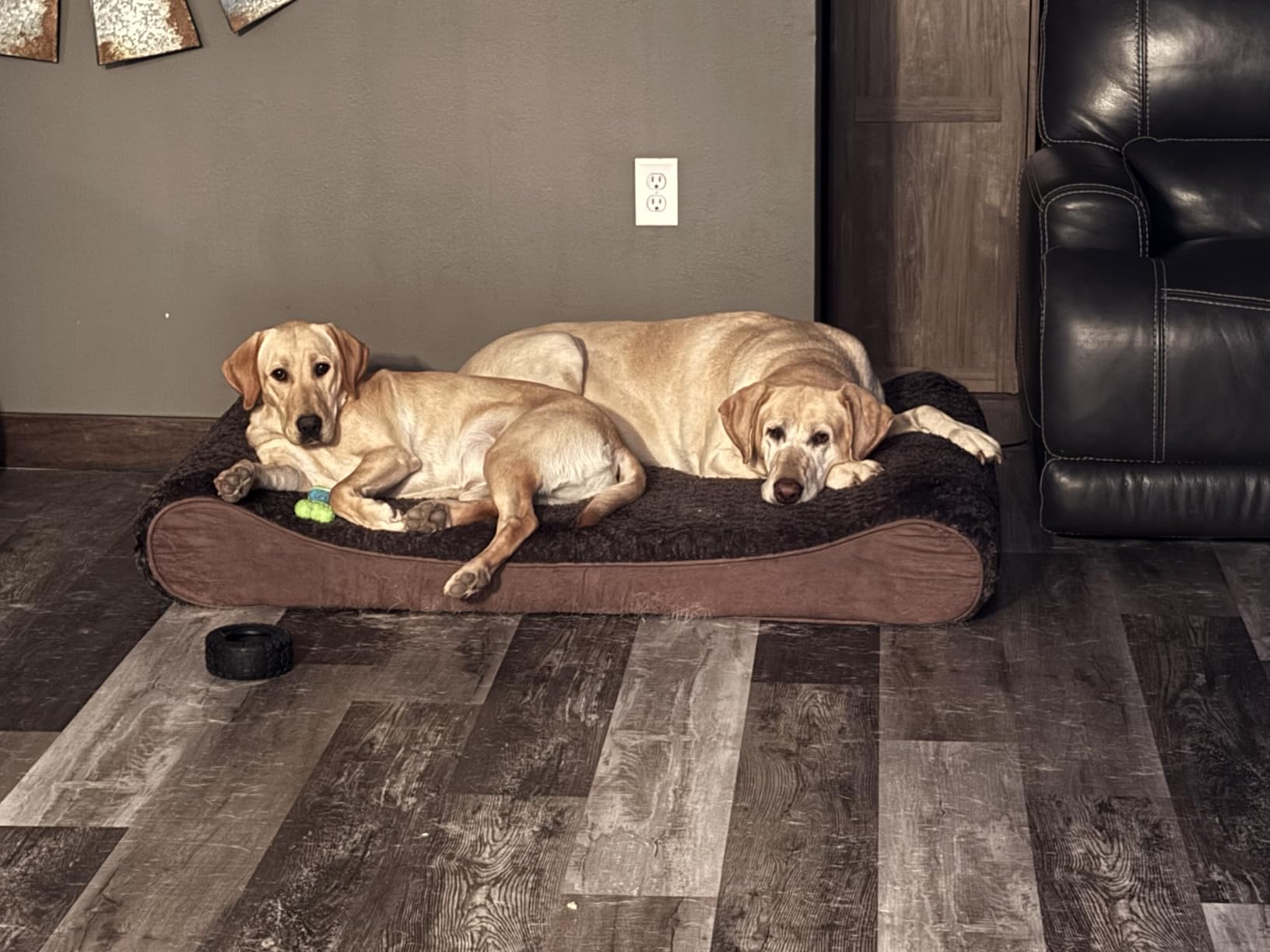 FurHaven Orthopedic Dog Bed for Large Dogs, Luxe Lounger Contour Mattress with Solid Orthopedic Foam Slab for Joint Support, Removable Washable Cover, Jumbo XL, Plush Suede, Gray customer photo 2